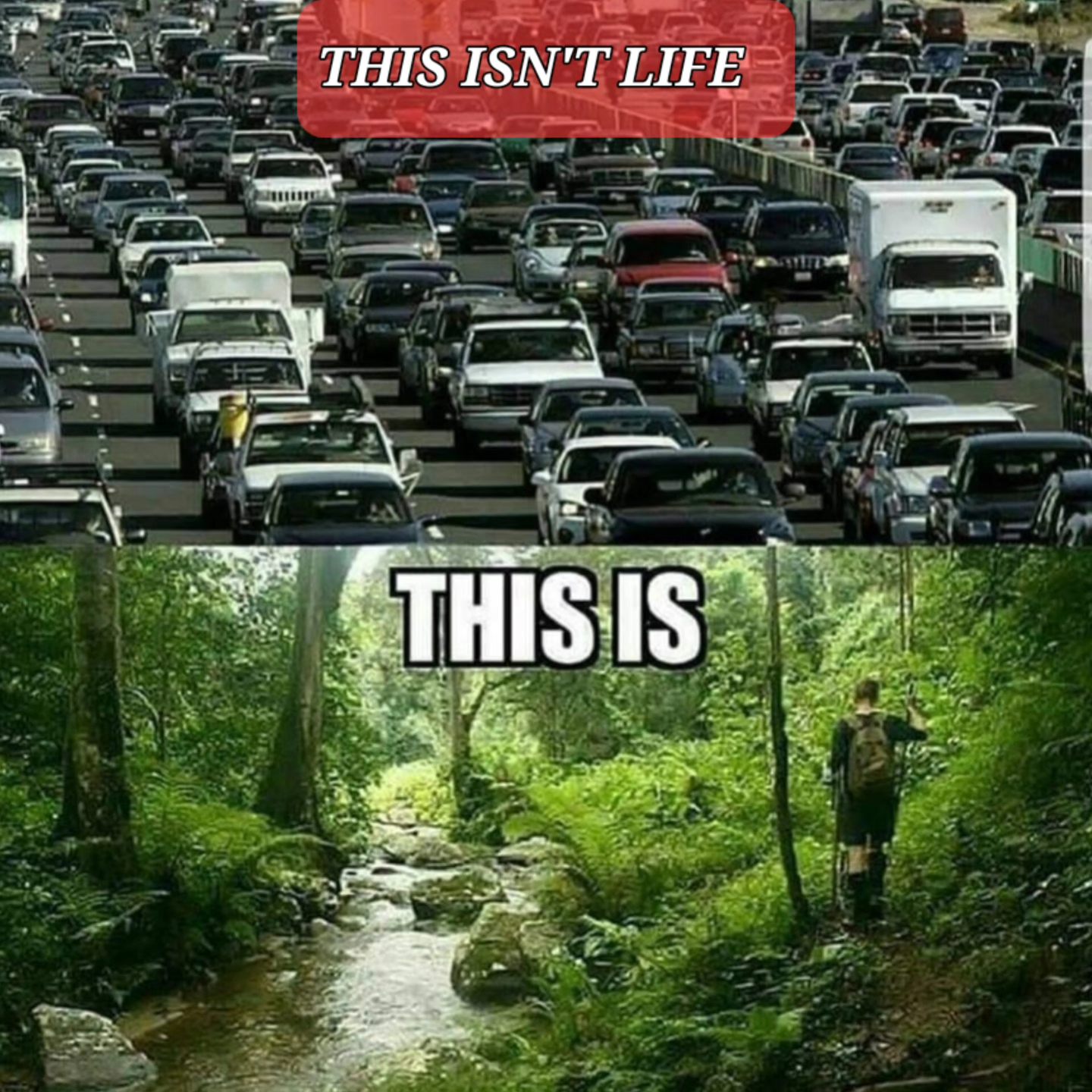 This meme is a humorous comparison between two images. The top image shows a congested highway with the caption "This isn't life." The bottom image shows a person hiking in a lush forest with the caption "This is." The meme suggests that the person's life is not as stressful and chaotic as it seems, and that they can find peace and happiness in nature.